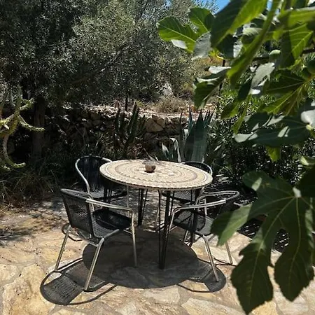 Gokseki Sokak 75b * Kaş