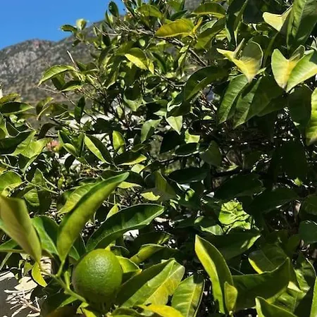Gokseki Sokak 75b Appartamento Kaş